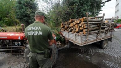 Photo of Уапсени дрвокрадци од селата Борино и Житоше