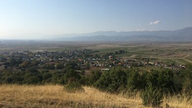 Photo of Голема тепачка во кафеана во Ропотово