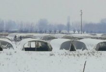 Photo of Земјоделците се мачат со фолиите и снегот – И после, скапа ви е зелката?!