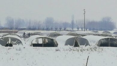 Photo of Земјоделците се мачат со фолиите и снегот – И после, скапа ви е зелката?!