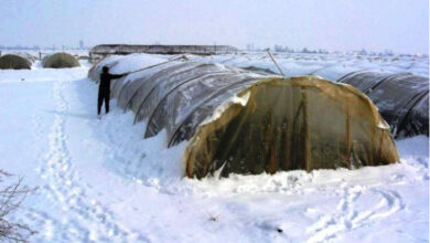 Photo of Снегот добредојден за земјоделството