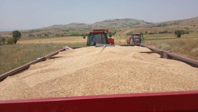 Photo of Известување до земјоделците од Платежната агенција – пријавете се за субвенции до 15 август 2025 година