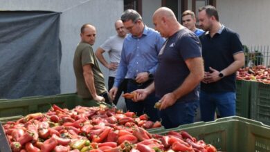 Photo of Ајде министре кога субвенциите за пиперот? Трипуновски вели дека прават анализа на ефектот на субвенциите во земјоделството