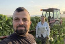 Photo of Да им се позлатат рацете – Младите земјоделци Ердован и Емине Исламоски сработија 150 хектари земја