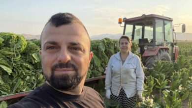 Photo of Да им се позлатат рацете – Младите земјоделци Ердован и Емине Исламоски сработија 150 хектари земја