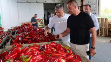 Photo of Анакиев – во контрола кај откупувачи на пиперка во Струмичко