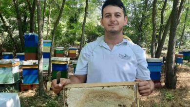 Photo of Успешна медена приказна – Пчеларство Додевски со младиот земјоделец Иван Додевски