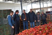 Photo of Инспекциски контроли кај извозникот, откупувачите и производителите, црвените пиперки не се вратени во Македонија