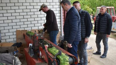 Photo of Тутунарите од Конче вредно работат на тутунот, министерот им дојде на посета
