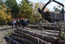 Photo of Трипуновски: Со пуштање на електронската испратница, започнува дигитализацијата на македонскиот шумарски сектор