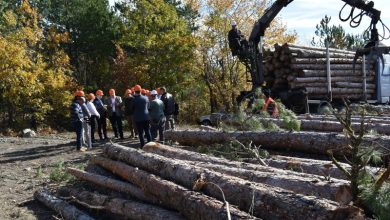 Photo of Трипуновски: Со пуштање на електронската испратница, започнува дигитализацијата на македонскиот шумарски сектор