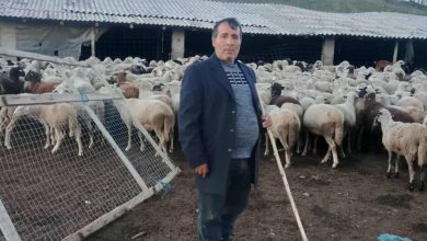 Photo of Сточарот Божидар Костиќ од Валандово си ги бара субвенциите за 300 грла овци – зима иде пари нема!