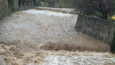 Photo of Во градовите најмногу дожд падна во Тетово и Битола