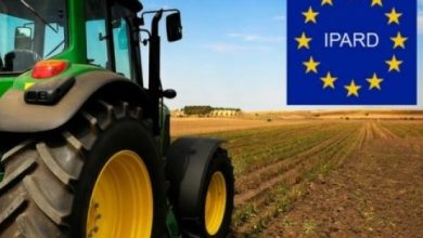 Photo of Стопирана е исплатата на 400 илјади евра за 15 корисници на ИПАРД, поради скандалот со Платежната агенција, потврдува Министерството за финансии за порталот „Зелена берза“.