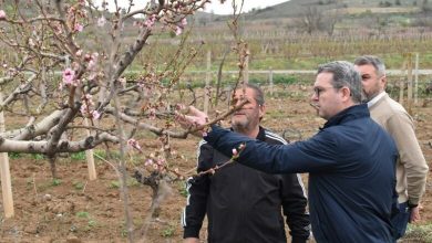Photo of Росоман доби повеќе од 6,3 милиони евра за обештетување на земјоделците од град и мраз