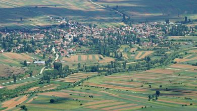 Photo of Кривогаштани да биде место каде младите ќе сакаат да останат