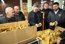 Photo of Трипуновски: Досега се откупени 25,3 милиони килограми тутун во вредност од 170 милиони евра