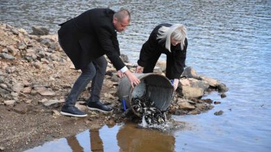 Photo of ЈП „Стрежево“ – Битола почна со издавање дозволи за рекреативен риболов за 2026